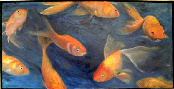 goldfish-carasi-ornamentali